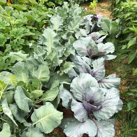 Meet your Posher, Lorie - Picture 10 of 12